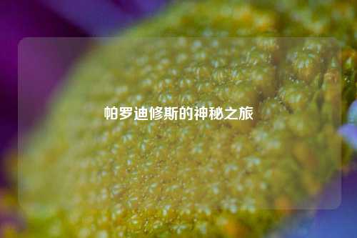 帕罗迪修斯的神秘之旅