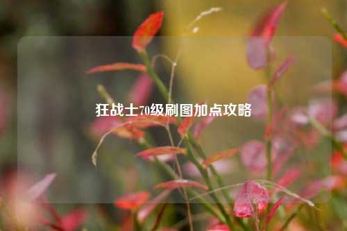 狂战士70级刷图加点攻略