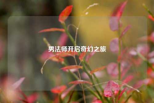 男法师开启奇幻之旅