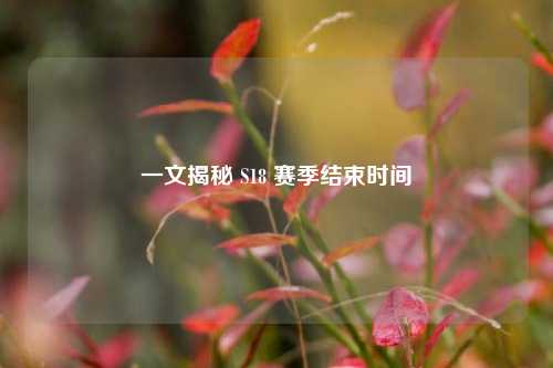 一文揭秘 S18 赛季结束时间
