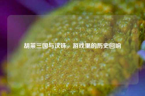 胡莱三国与汉铢,游戏里的历史回响