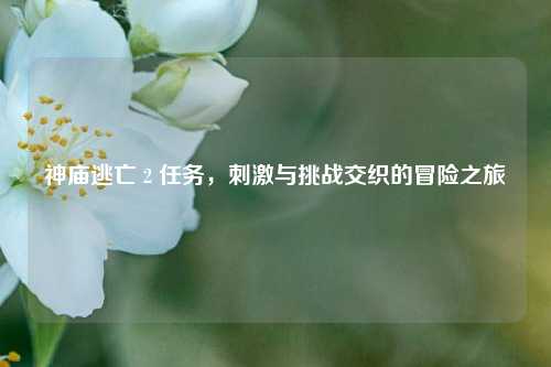 神庙逃亡 2 任务,刺激与挑战交织的冒险之旅