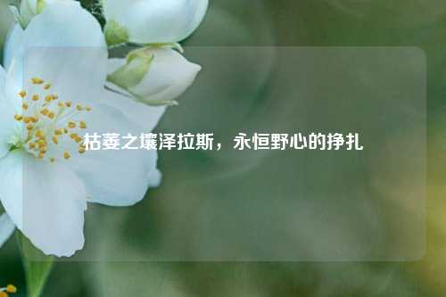 枯萎之壤泽拉斯,永恒野心的挣扎