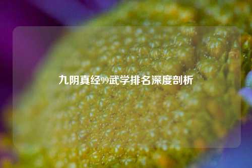 九阴真经99武学排名深度剖析