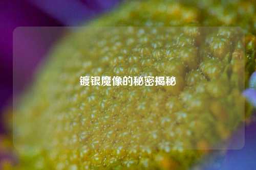 镀银魔像的秘密揭秘