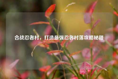 合战忍者村,打造最强忍者村落攻略秘籍