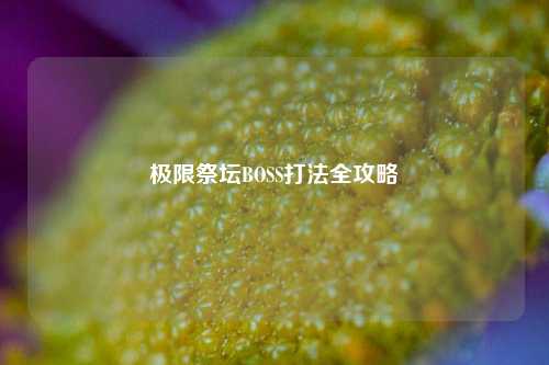 极限祭坛BOSS打法全攻略