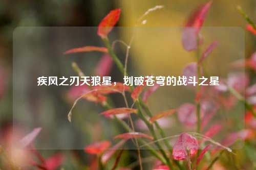 疾风之刃天狼星,划破苍穹的战斗之星