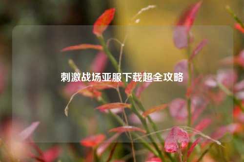 刺激战场亚服下载超全攻略