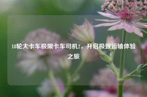 18轮大卡车极限卡车司机2,开启极致运输体验之旅