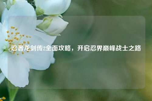 忍者龙剑传2全面攻略,开启忍界巅峰战士之路