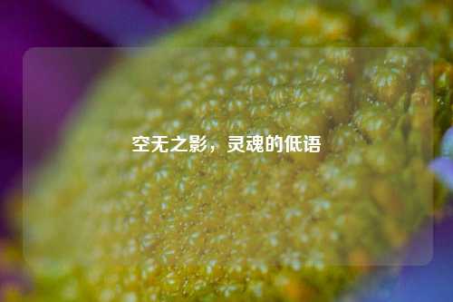 空无之影,灵魂的低语