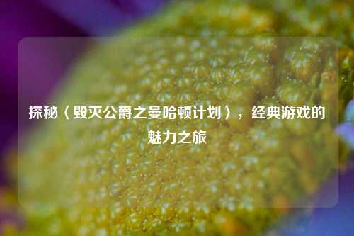 探秘〈毁灭公爵之曼哈顿计划〉,经典游戏的魅力之旅
