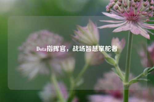 Dota指挥官,战场智慧掌舵者