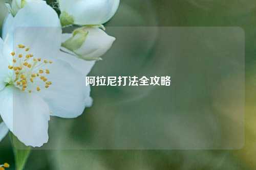 阿拉尼打法全攻略