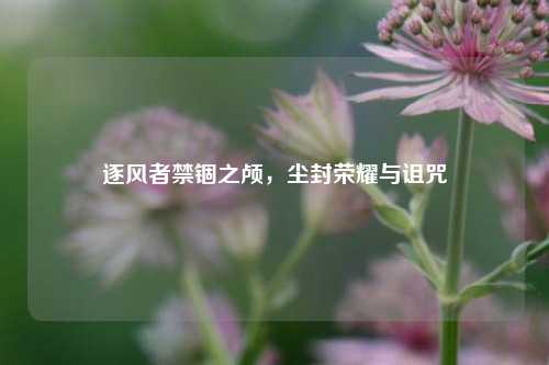 逐风者禁锢之颅,尘封荣耀与诅咒