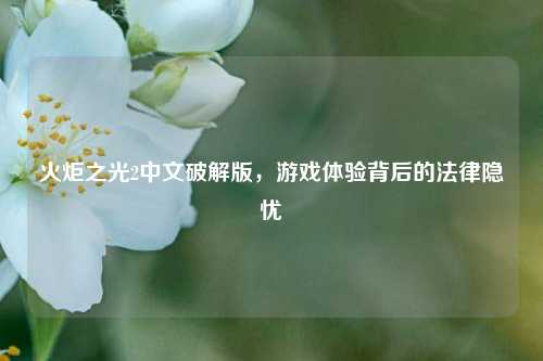 火炬之光2中文破解版,游戏体验背后的法律隐忧