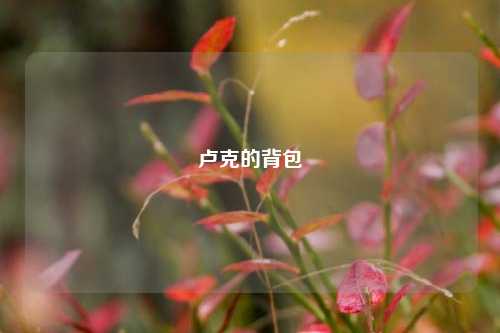 卢克的背包
