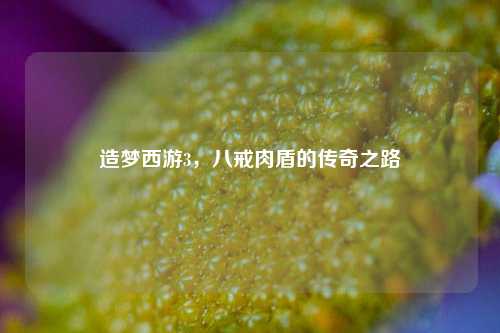 造梦西游3,八戒肉盾的传奇之路