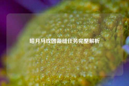 暗月马戏团裁缝任务完整解析