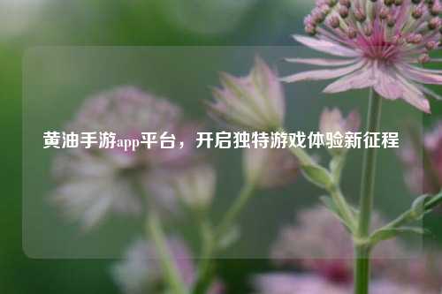 黄油手游app平台,开启独特游戏体验新征程