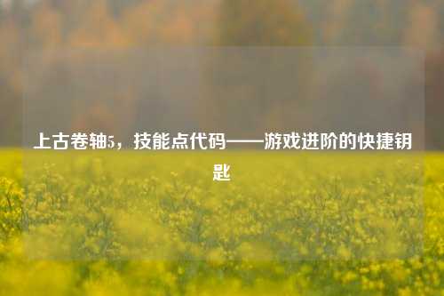 上古卷轴5,技能点代码——游戏进阶的快捷钥匙
