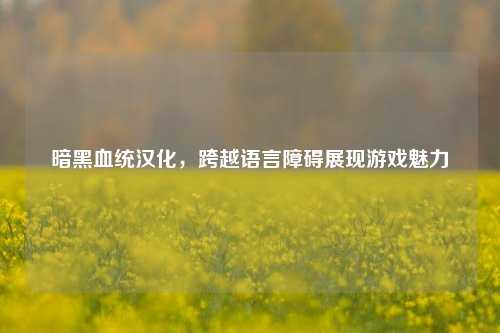 暗黑血统汉化,跨越语言障碍展现游戏魅力