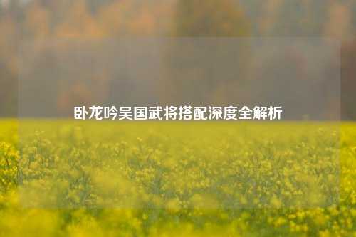 卧龙吟吴国武将搭配深度全解析