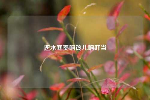 逆水寒奏响铃儿响叮当