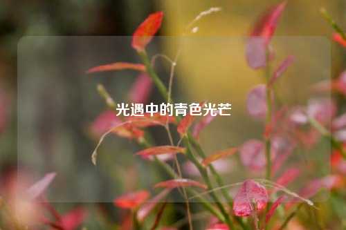 光遇中的青色光芒