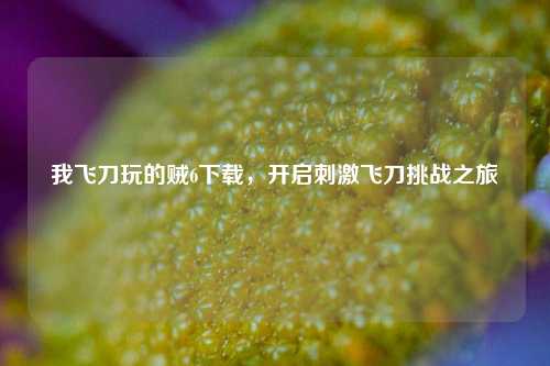 我飞刀玩的贼6下载,开启刺激飞刀挑战之旅