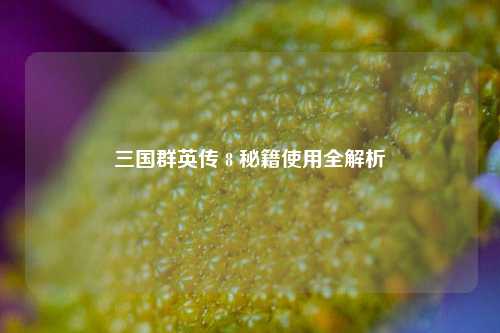 三国群英传 8 秘籍使用全解析