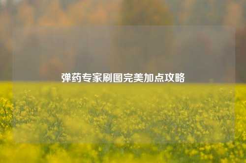弹药专家刷图完美加点攻略