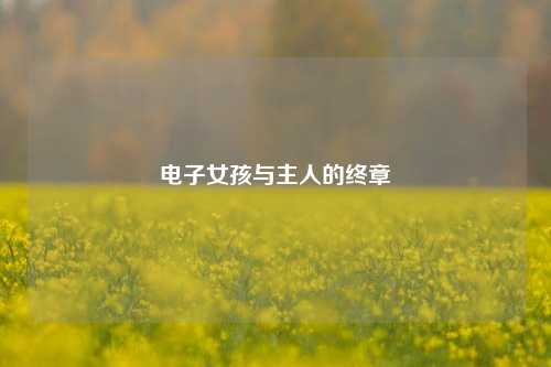 电子女孩与主人的终章