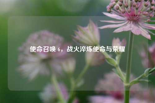 使命召唤 6，战火淬炼使命与荣耀
