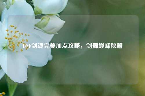 DNF剑魂完美加点攻略，剑舞巅峰秘籍