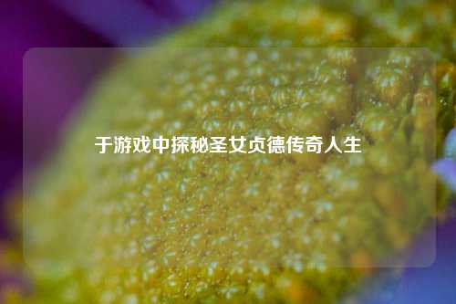 于游戏中探秘圣女贞德传奇人生